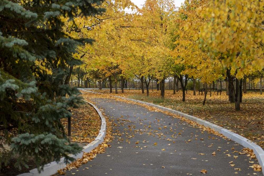 Фотография автора Ирина Зайцева