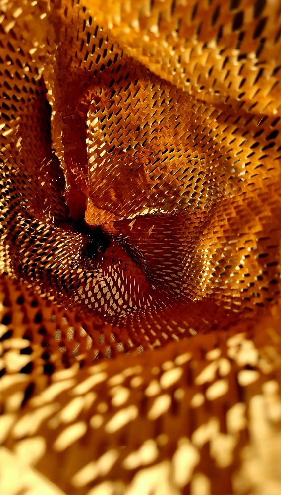 Photograph by Hanna Bourne