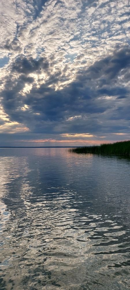 Фотография автора Анна