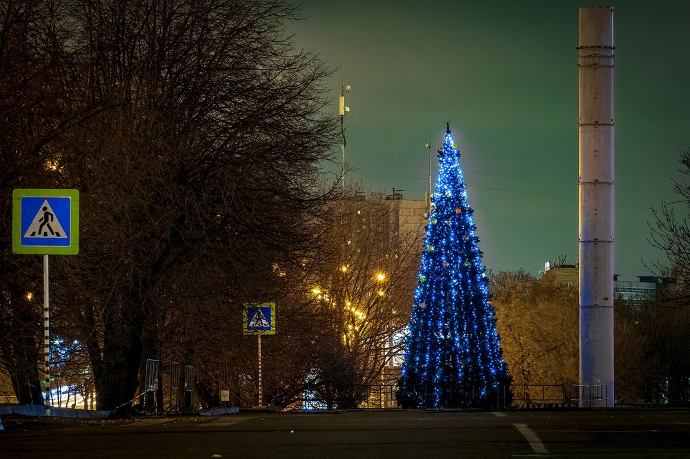 Photograph by Алексей Чеботарев