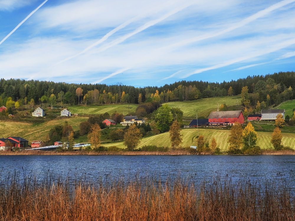 Photograph by Ionika Mink