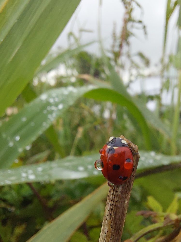 Photograph by Наталья Пусулиди