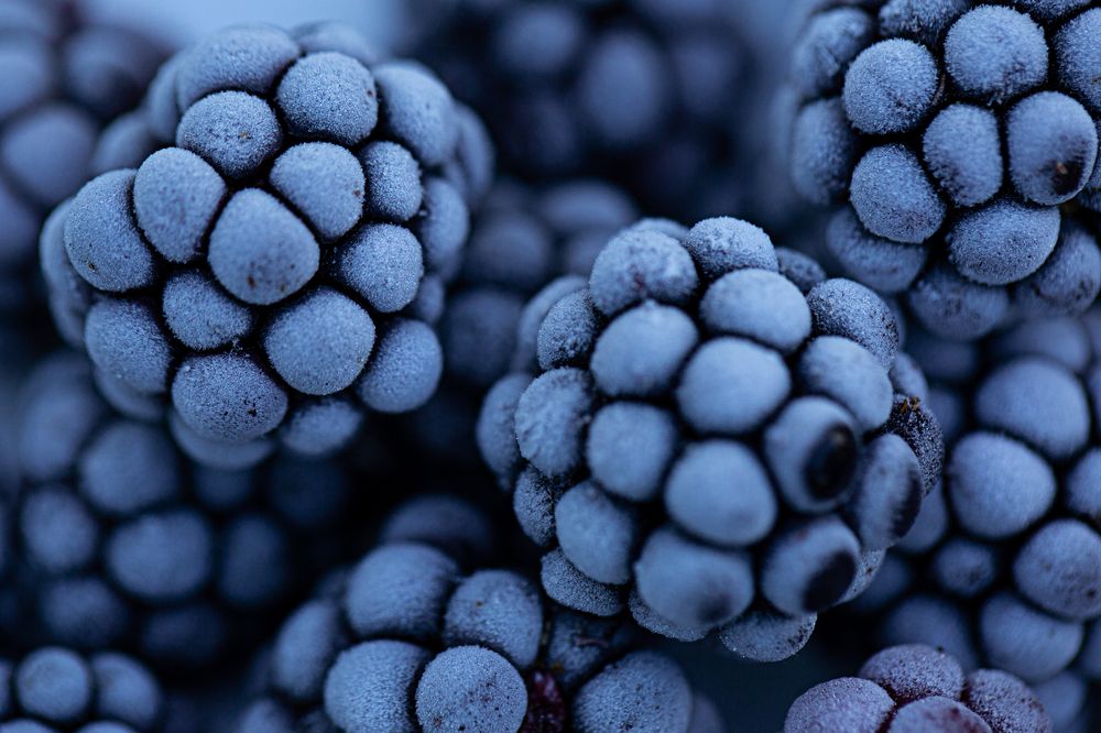 Photograph by Елена