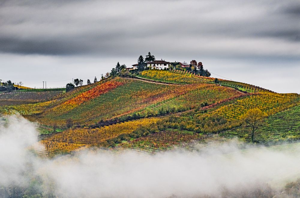 Фотография автора Paolo Barbarini