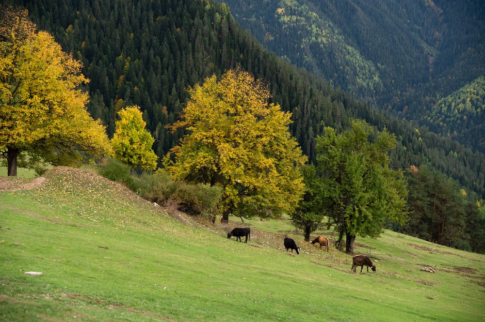 Photograph by Yana Lubavin