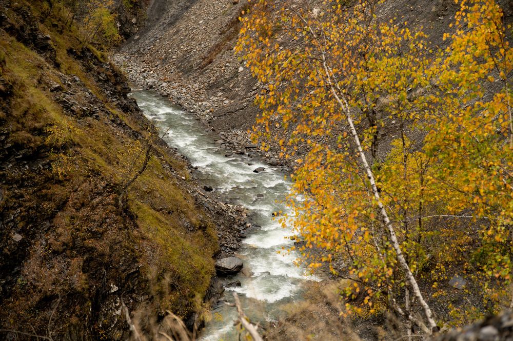 Photograph by Yana Lubavin