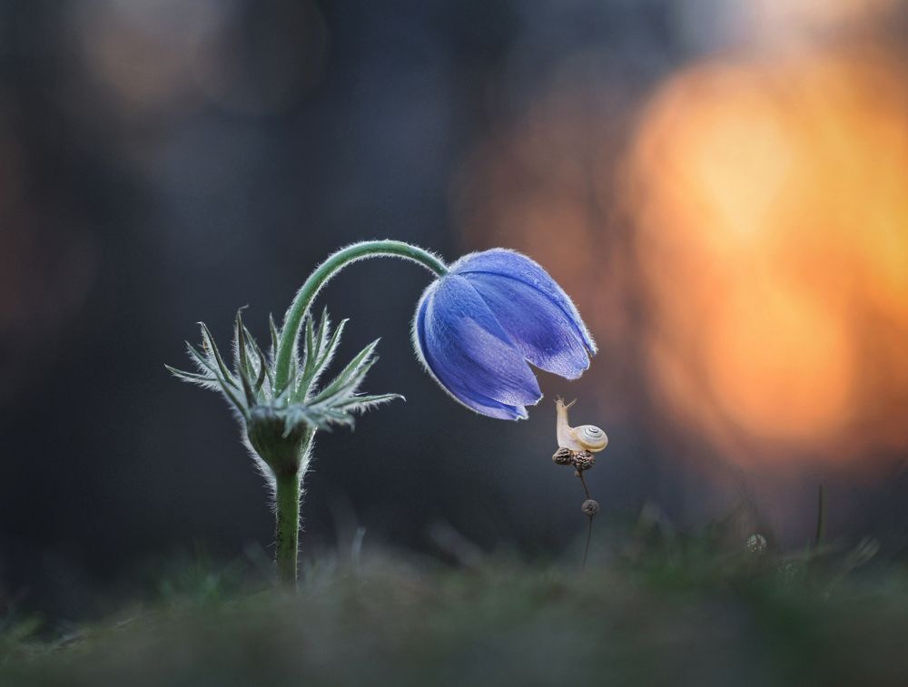 Photograph by Александр Гвоздь