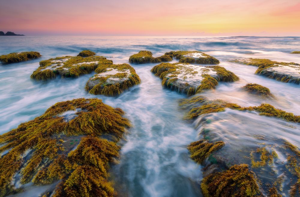 Sắc màu Bãi Bàng