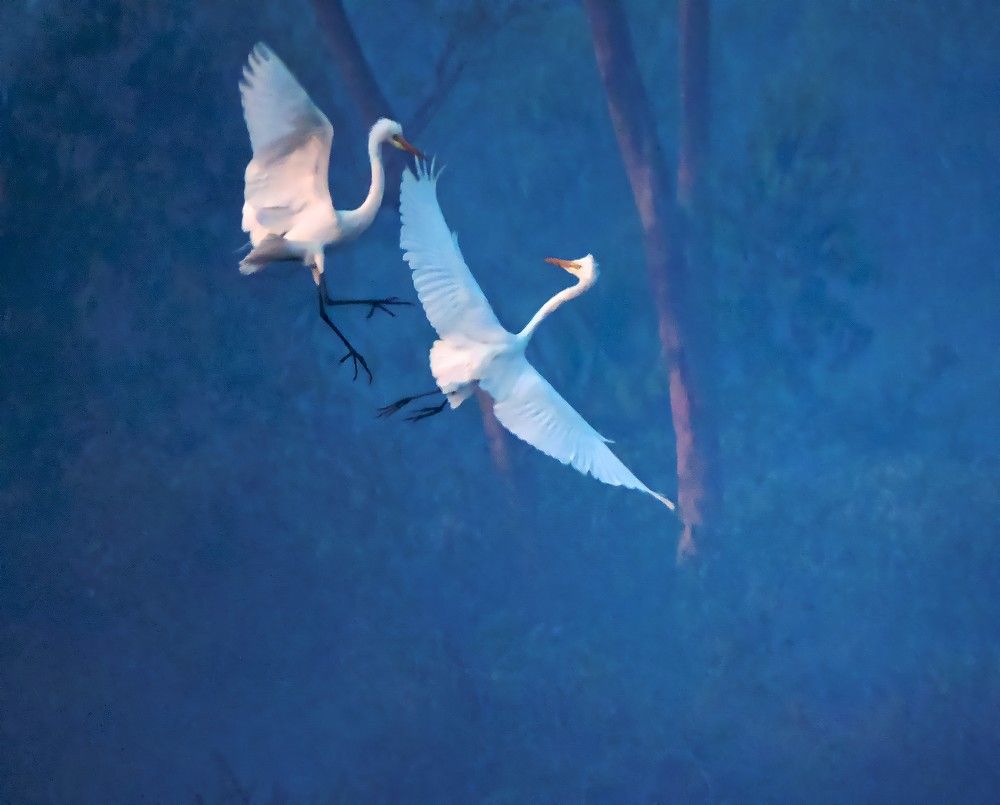 Photograph by PRÁNÀB DËY