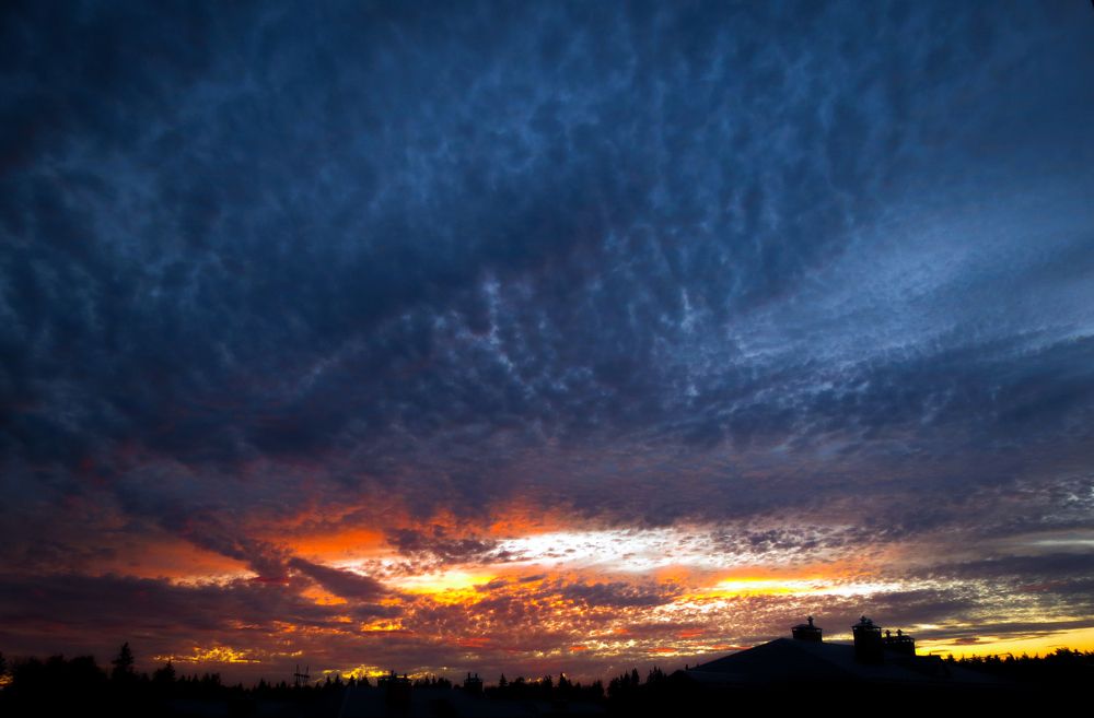 Photograph by Anna Prohorova