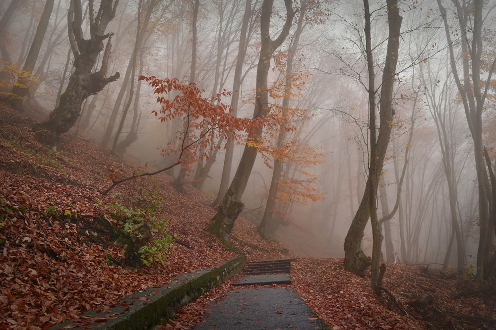 Photograph by Шипунова Ирина