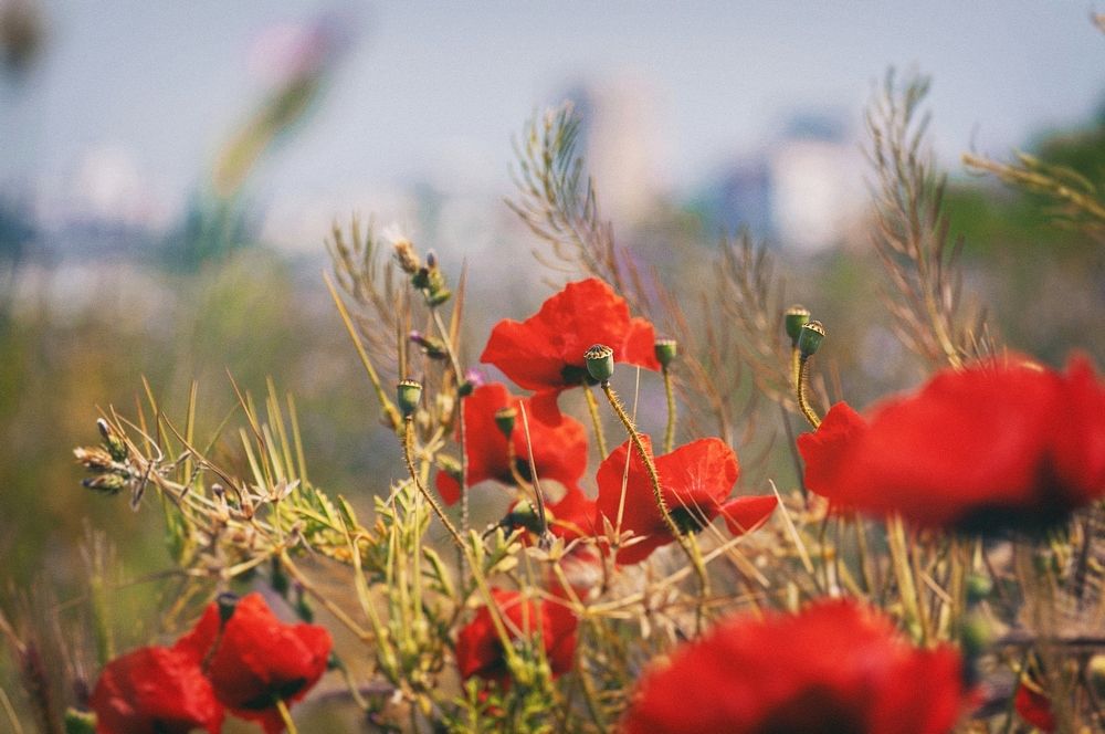 Photograph by Ольга Мальцева