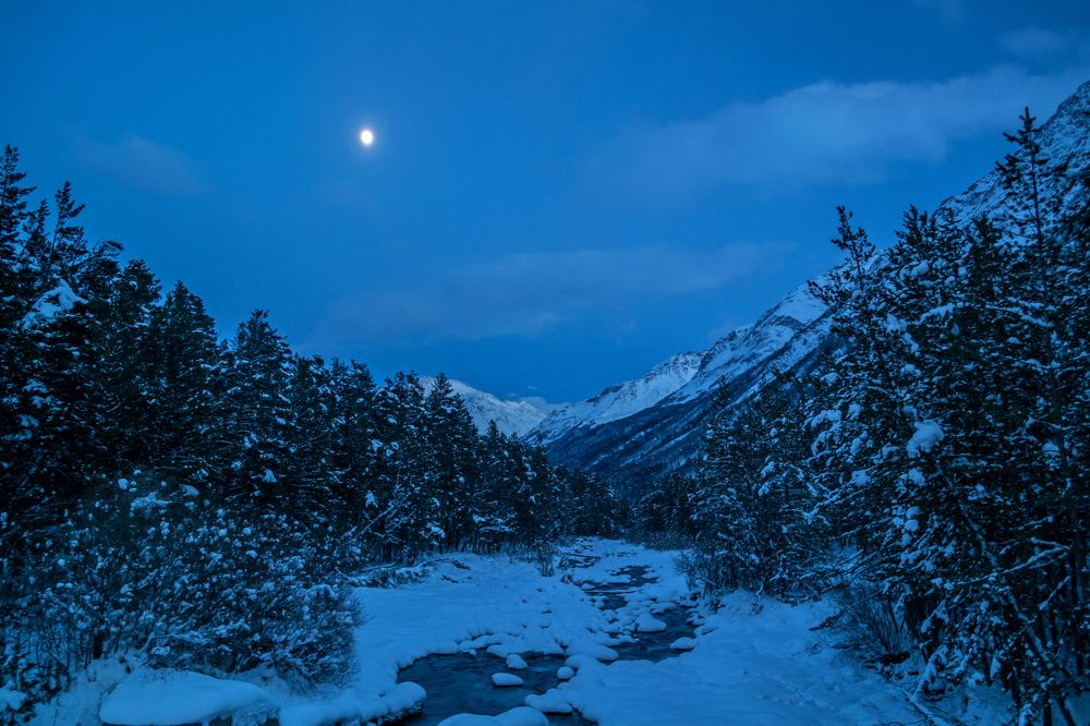 Photograph by Елена Ковалева