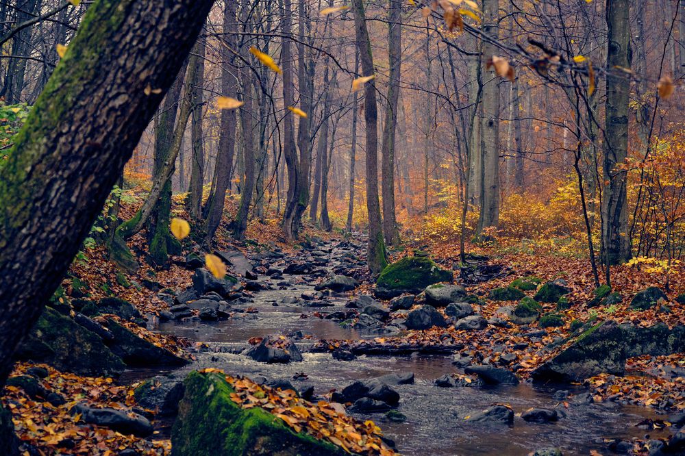 Photograph by Александр Серняк