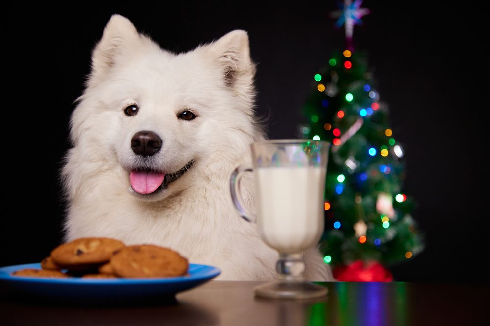 In anticipation of the holiday