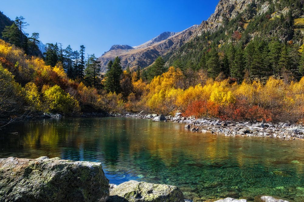 Photograph by Елена Ковалева