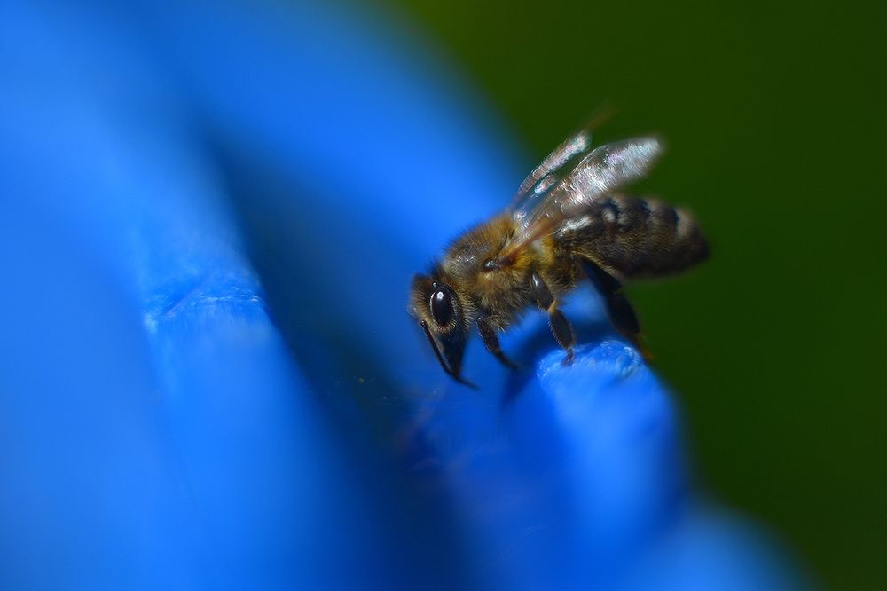 Photograph by Наталья Новкис