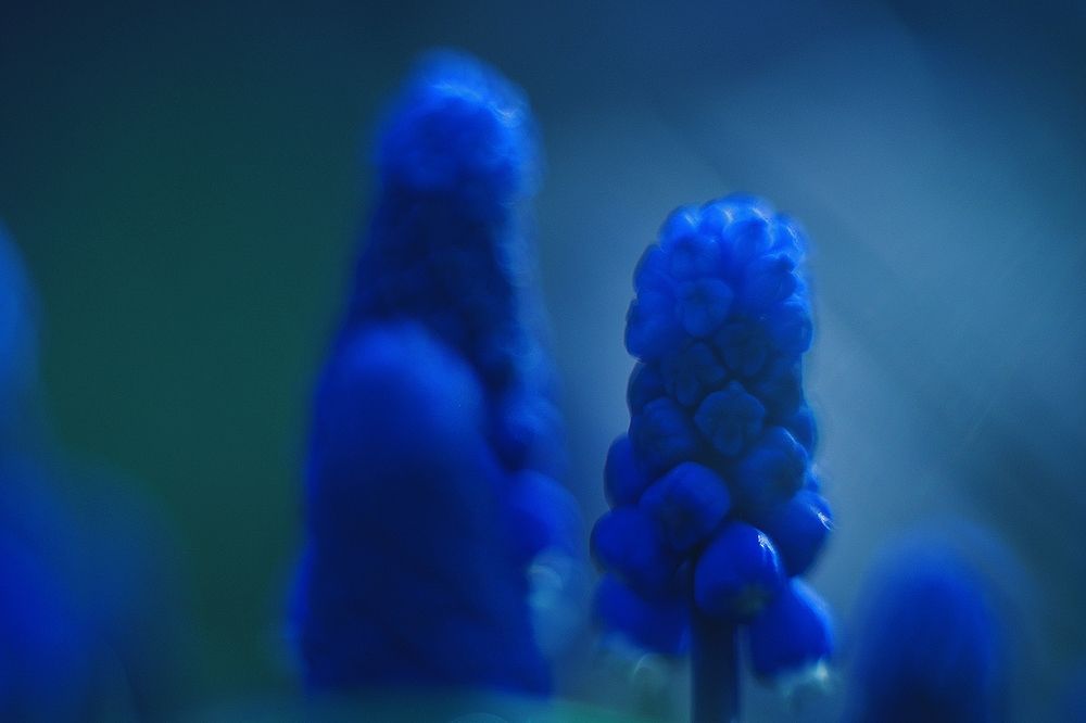 Photograph by Наталья Новкис