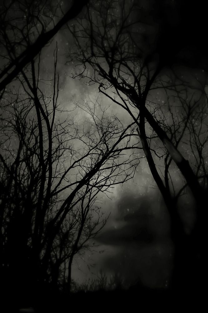 Фотография автора Nomin Jerabek