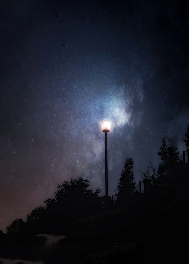 Фотография автора Nomin Jerabek