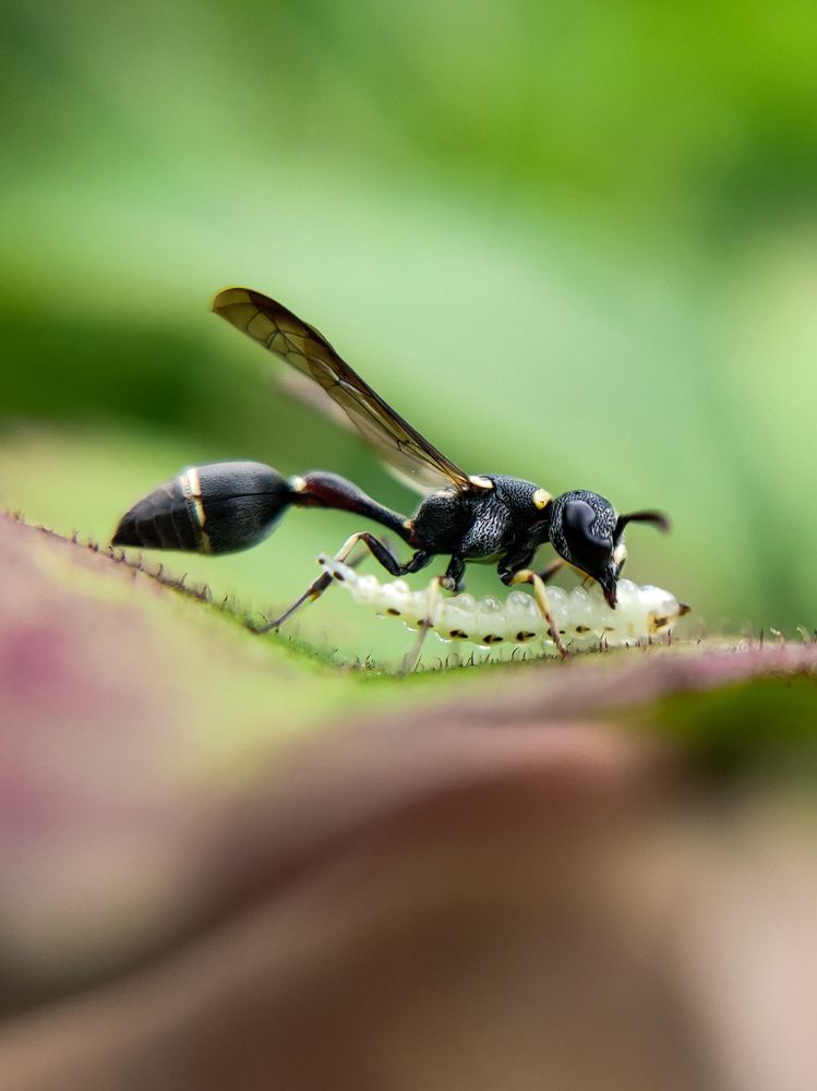 Photograph by Antaryami Das