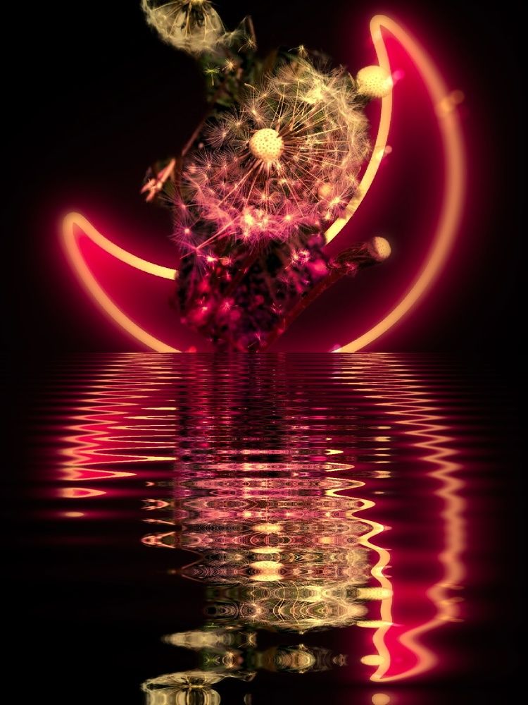 Photograph by Svetlana Victorovna Kibyakova