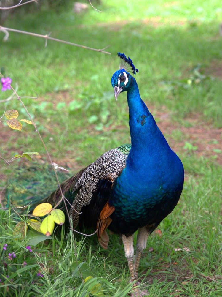 Photograph by Mikhail Levin