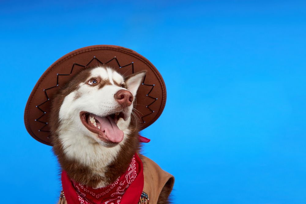 Photograph by Виктория Терентьева