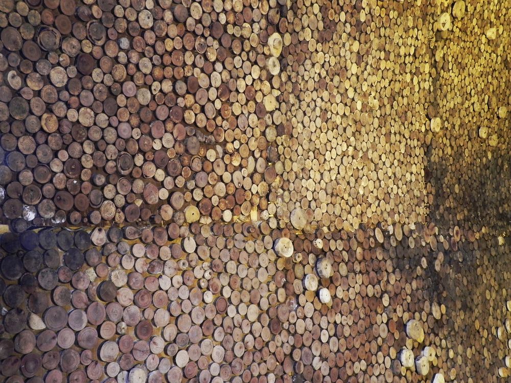 Photograph by SURAJIT SARKAR