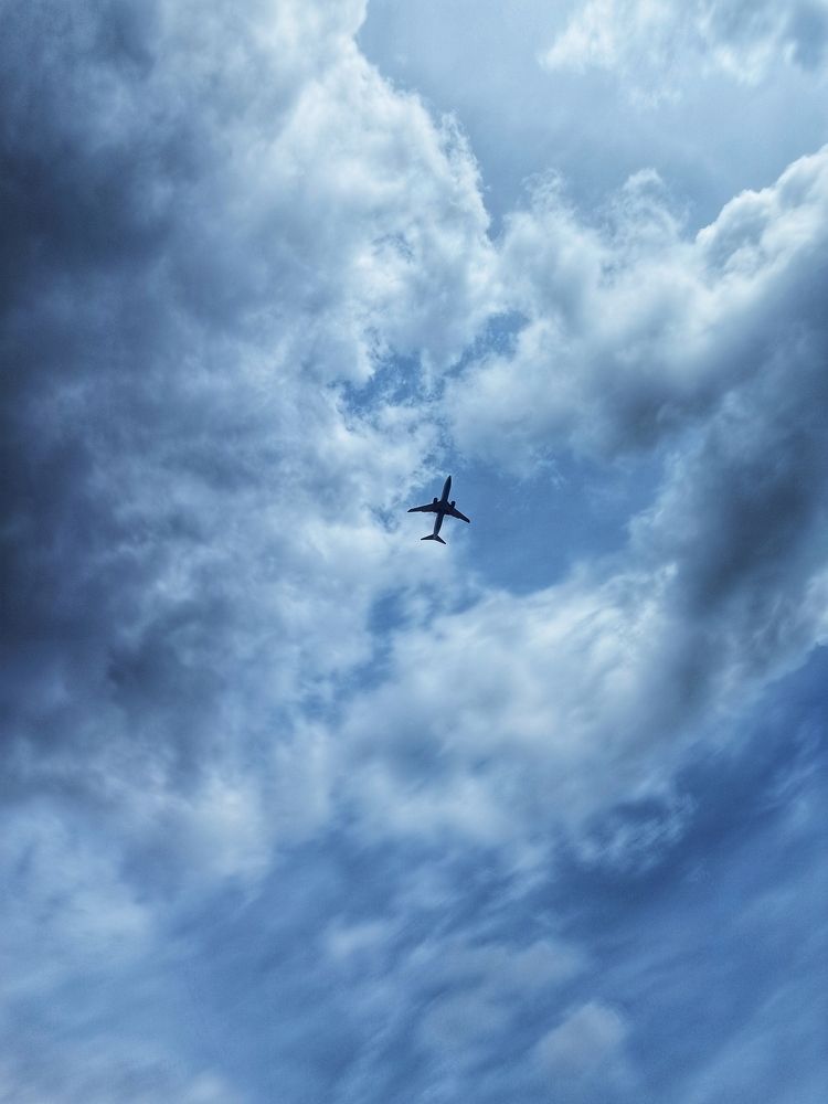 Photograph by Светлана Барабанова