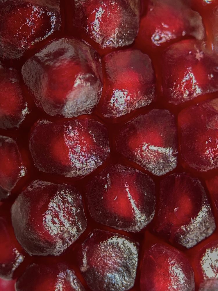 Photograph by Екатерина Бердутина