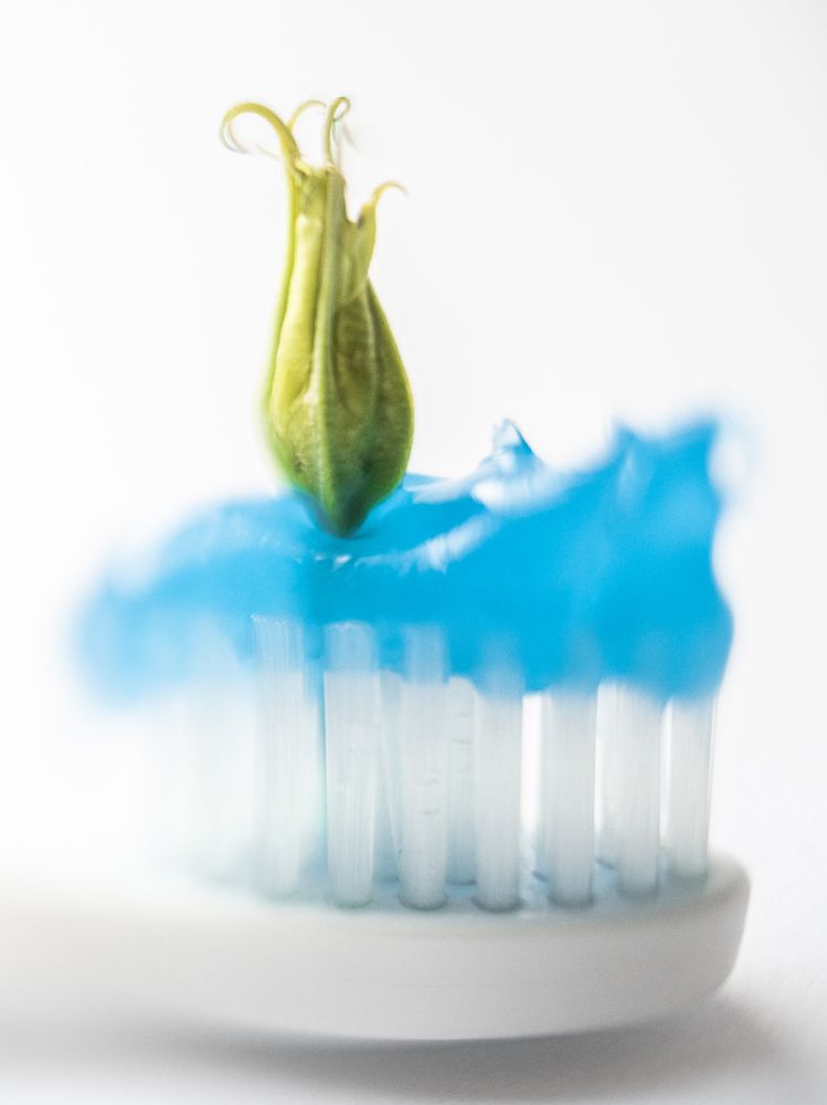 Photograph by Екатерина Бердутина