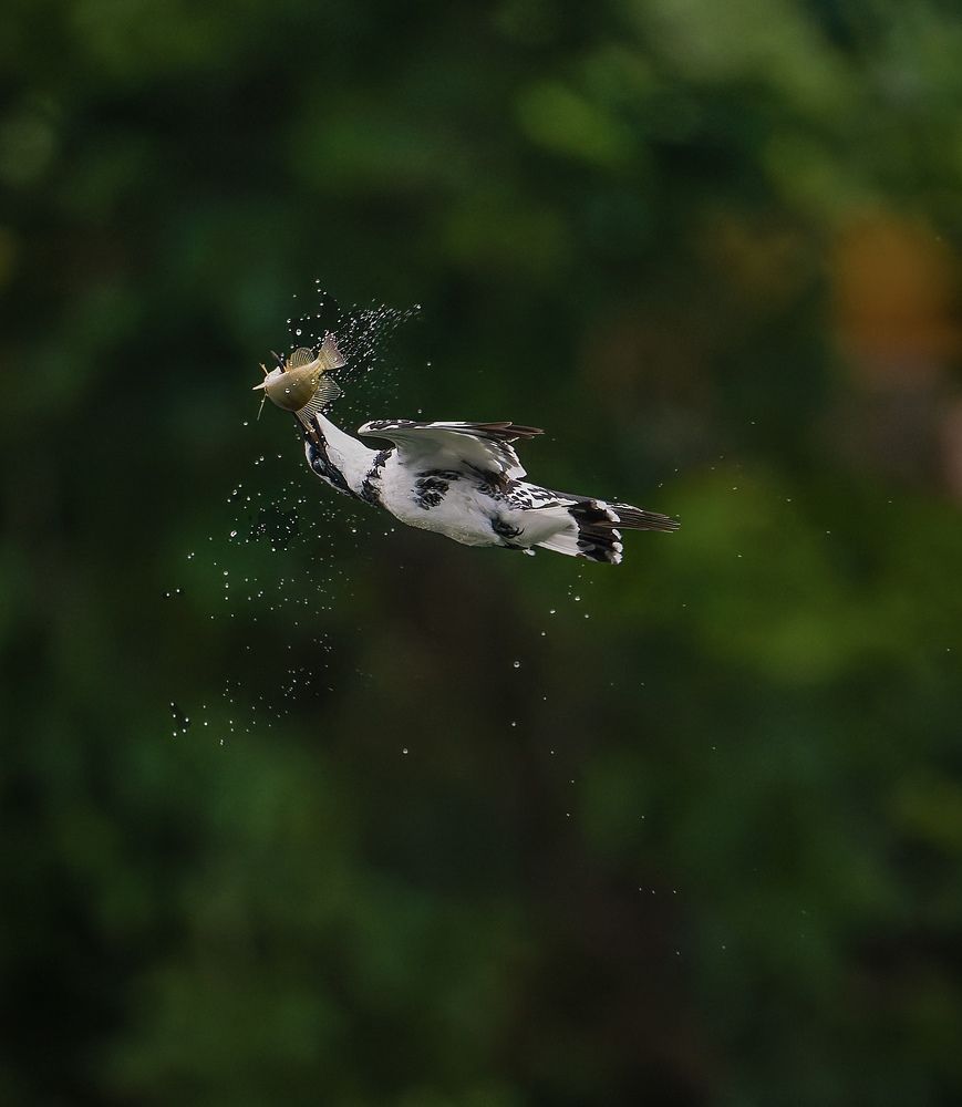 Photograph by Arun Prakash