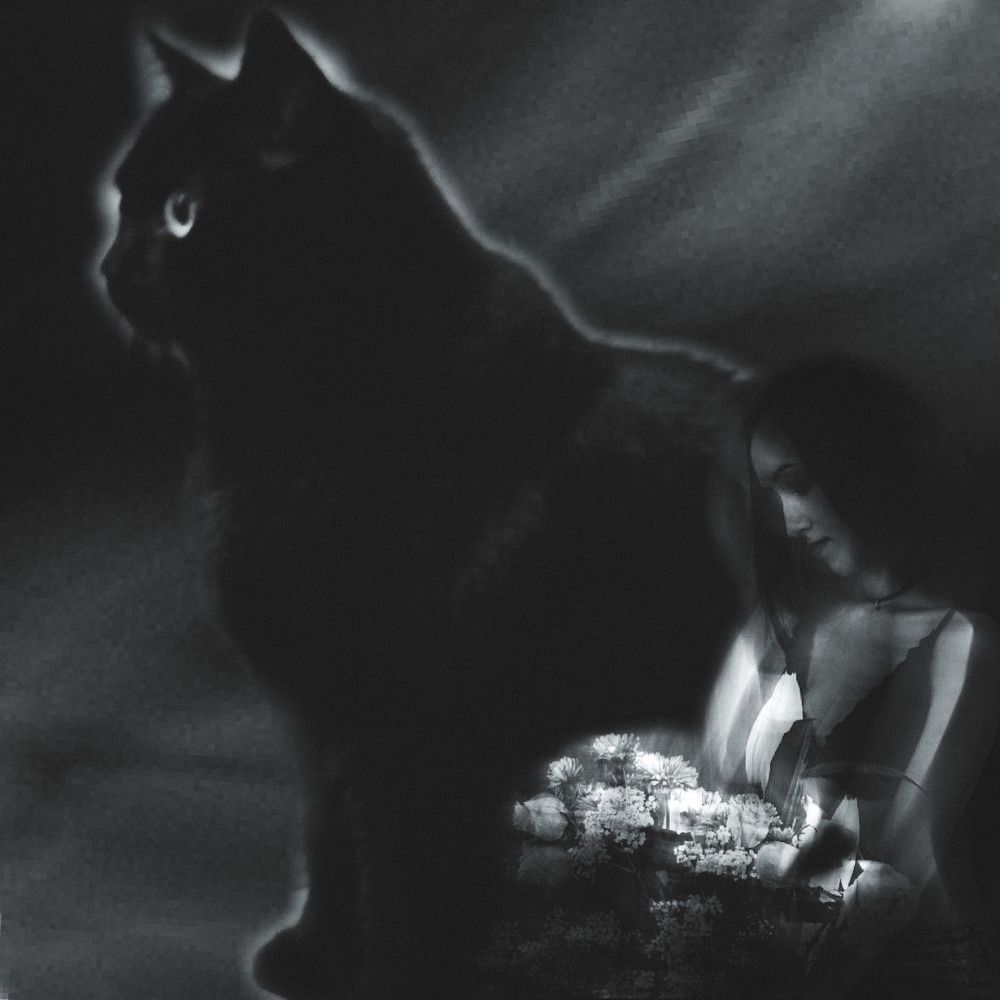 Photograph by Лилия Васильева