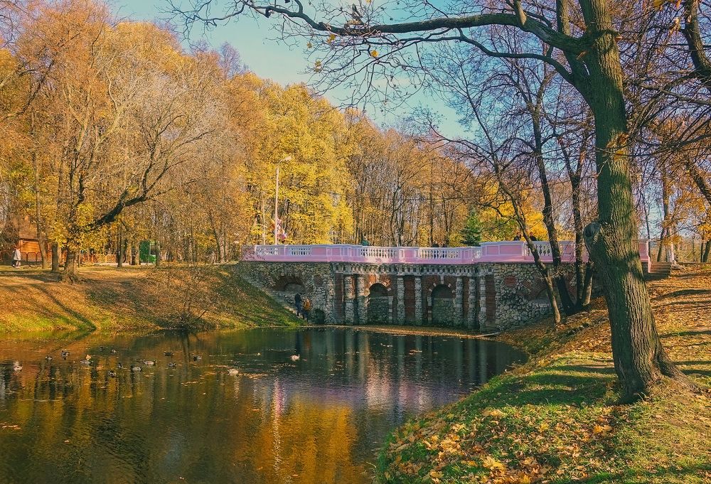 Photograph by IRINA KORNEVA