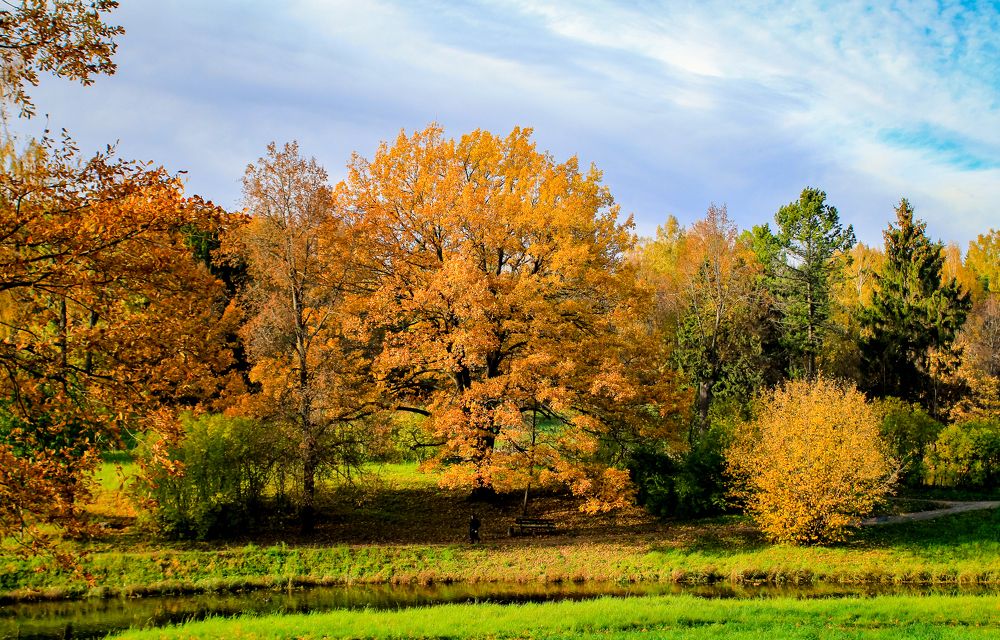 Photograph by Денис Копкин