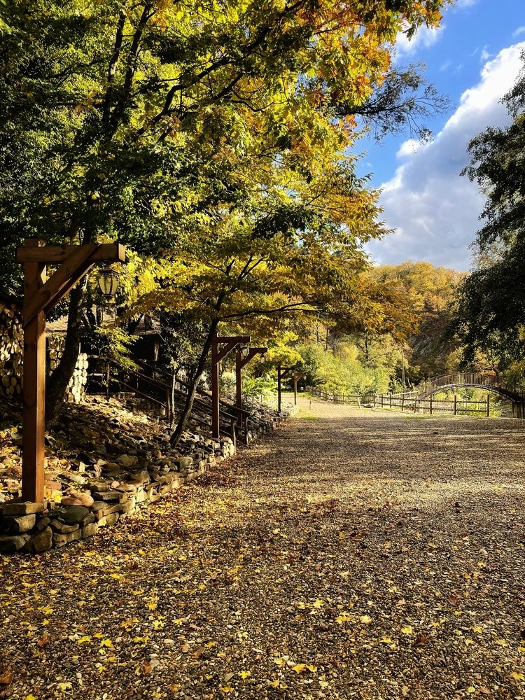 Photograph by Татьяна