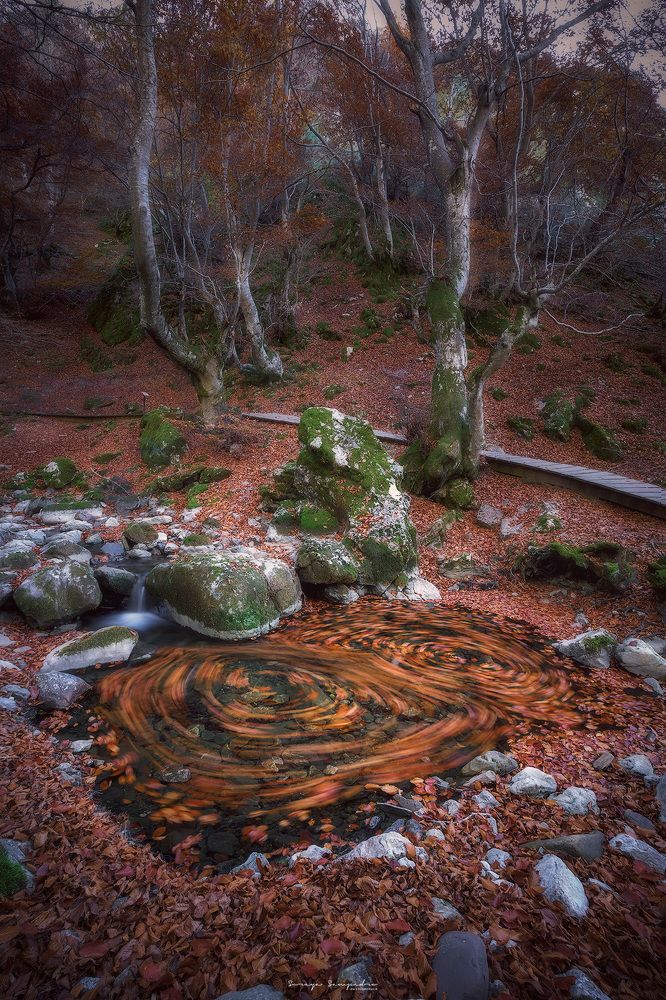 Photograph by SORAYA SAMPEDRO