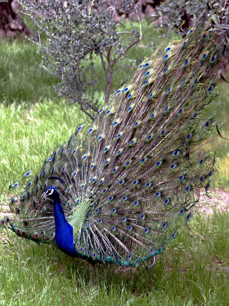 Photograph by Mikhail Levin