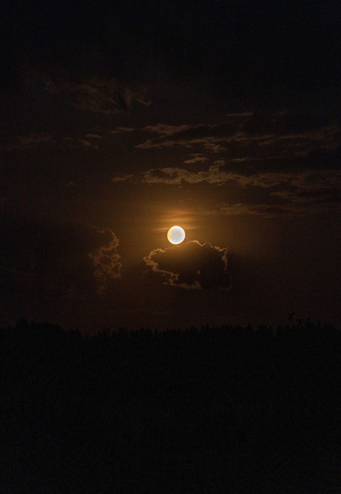 Photograph by Ольга Шиляева