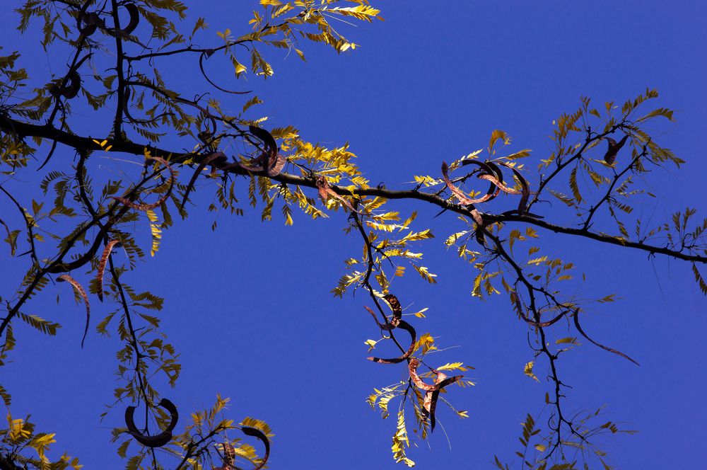 Photograph by Максим Захаров