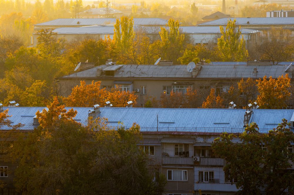 Photograph by Максим Захаров