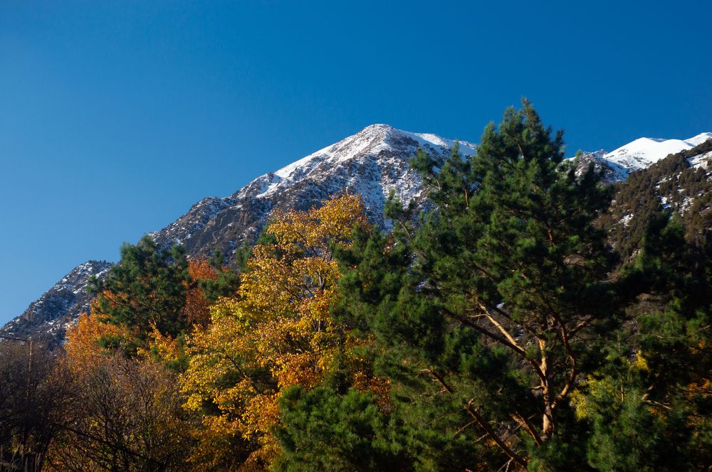 Photograph by Максим Захаров