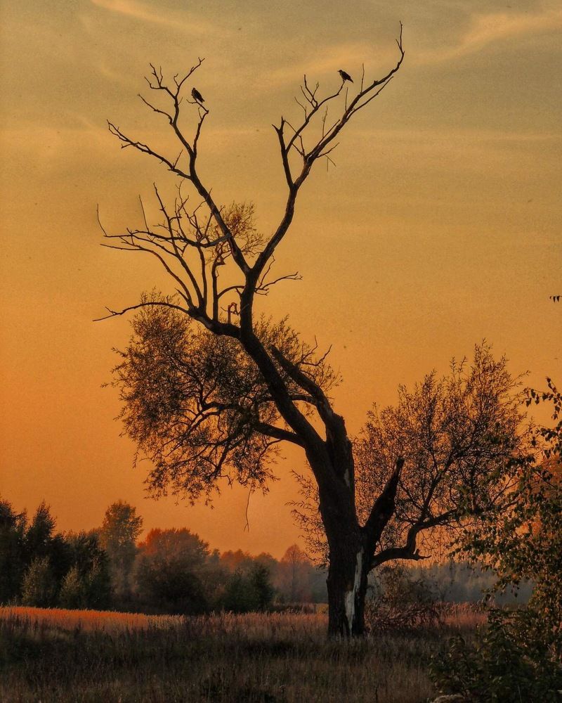 Photograph by Анастасия