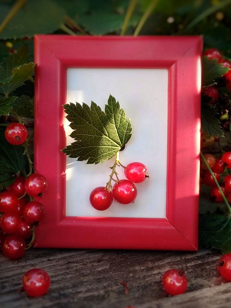 Фотография автора Тамара Караваева