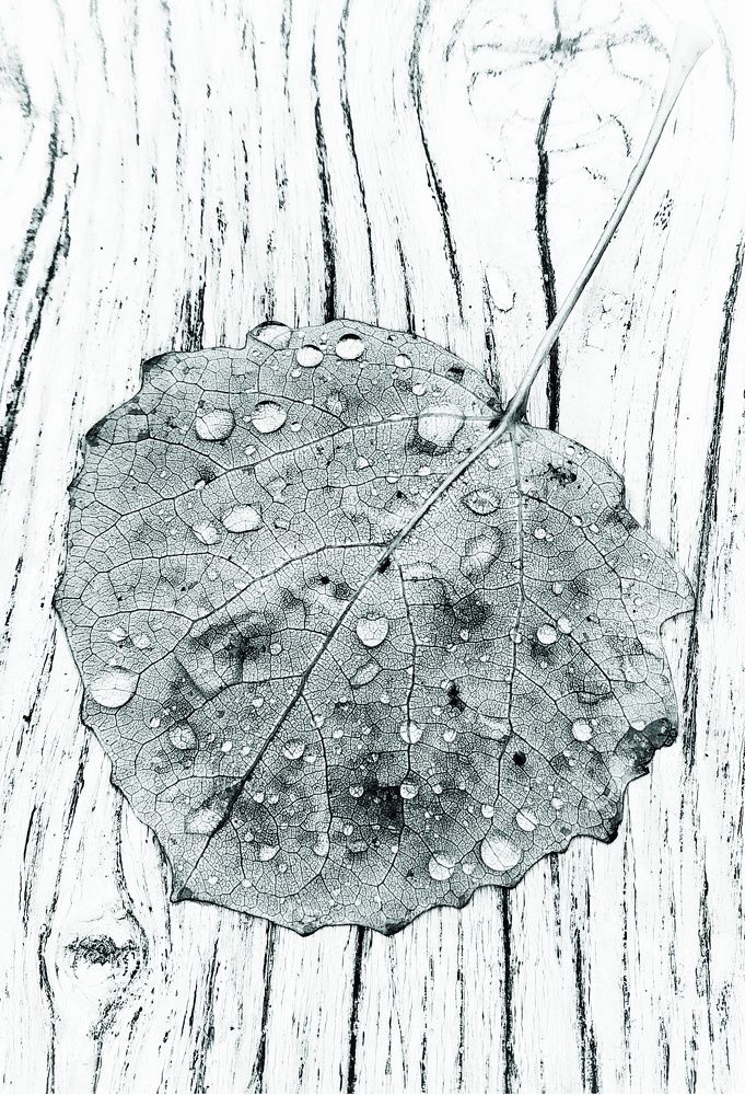 Photograph by Людмила М