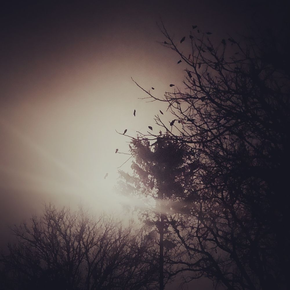 Photograph by Nikolett Mengyi