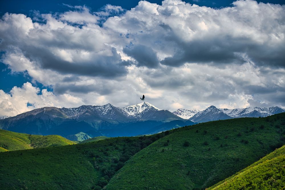 Photograph by Михаил Ноеренчук