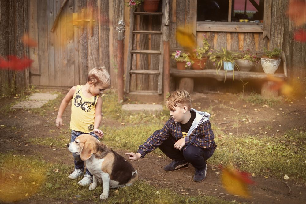 Photograph by Светлана Семакина