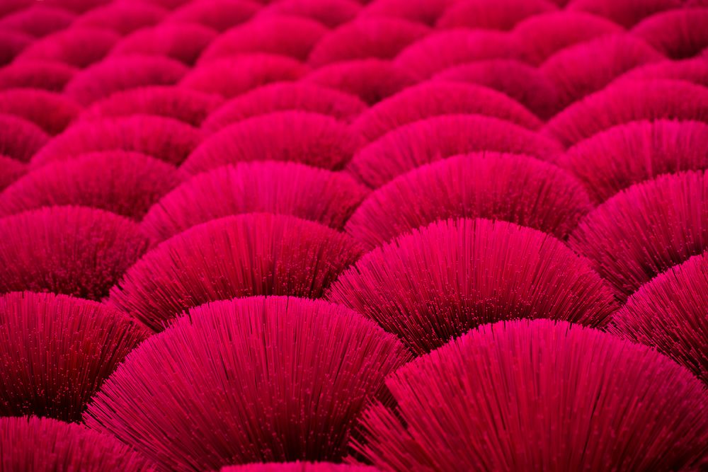 Фотография автора Đào Cảnh